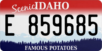 ID license plate E859685