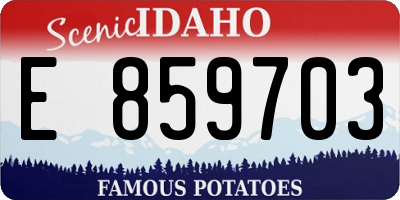 ID license plate E859703