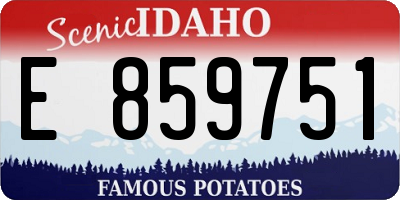 ID license plate E859751