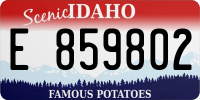 ID license plate E859802
