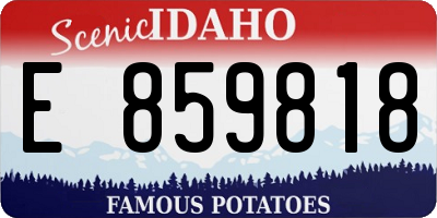 ID license plate E859818
