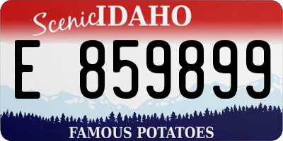 ID license plate E859899