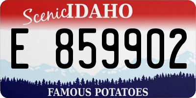 ID license plate E859902