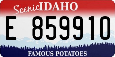 ID license plate E859910