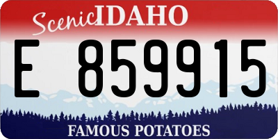 ID license plate E859915