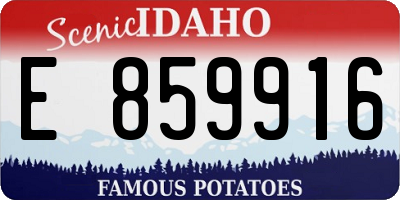 ID license plate E859916