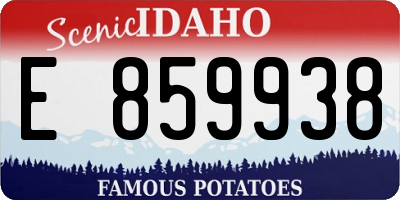 ID license plate E859938