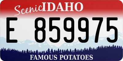 ID license plate E859975