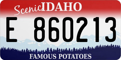 ID license plate E860213