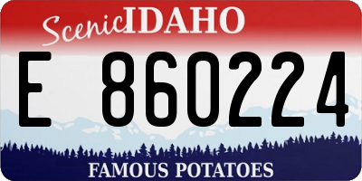 ID license plate E860224