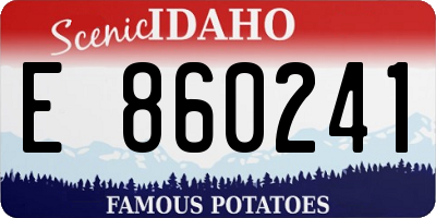ID license plate E860241