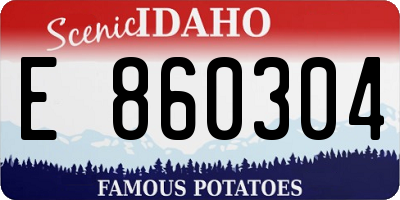 ID license plate E860304