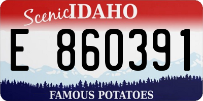 ID license plate E860391