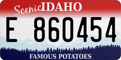 ID license plate E860454