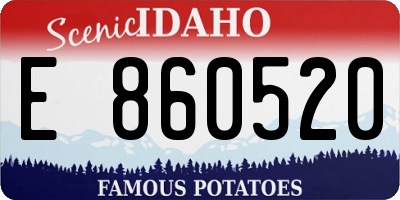 ID license plate E860520