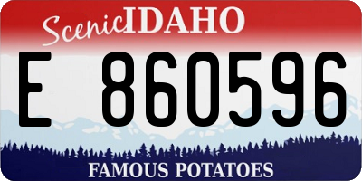 ID license plate E860596