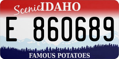 ID license plate E860689