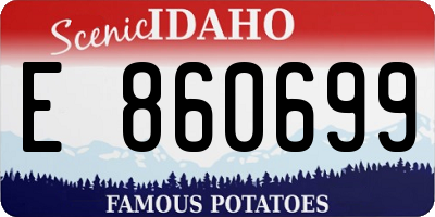 ID license plate E860699