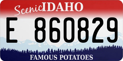 ID license plate E860829