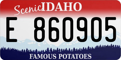 ID license plate E860905