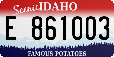 ID license plate E861003