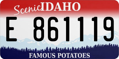 ID license plate E861119