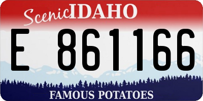 ID license plate E861166