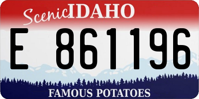 ID license plate E861196