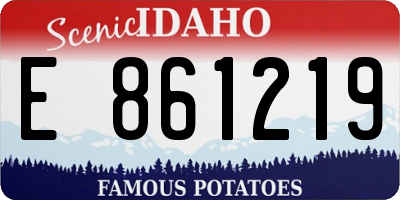 ID license plate E861219