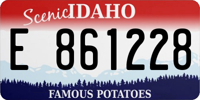 ID license plate E861228