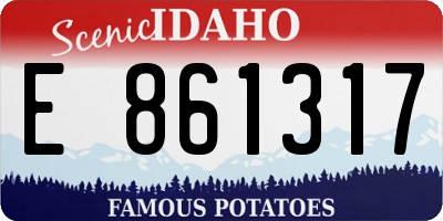 ID license plate E861317