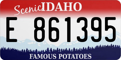 ID license plate E861395