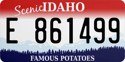 ID license plate E861499