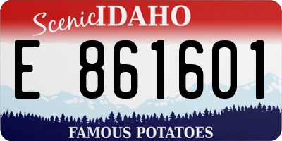ID license plate E861601