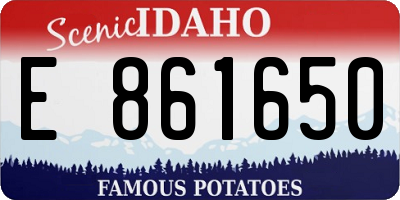ID license plate E861650