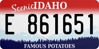 ID license plate E861651