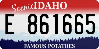 ID license plate E861665