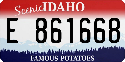 ID license plate E861668