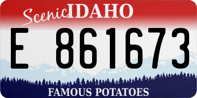 ID license plate E861673
