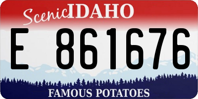 ID license plate E861676
