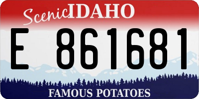 ID license plate E861681