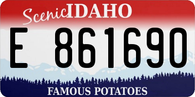 ID license plate E861690