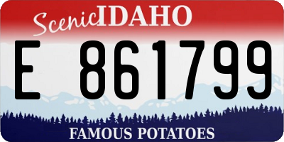 ID license plate E861799