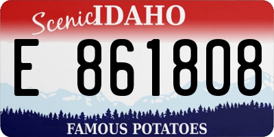 ID license plate E861808