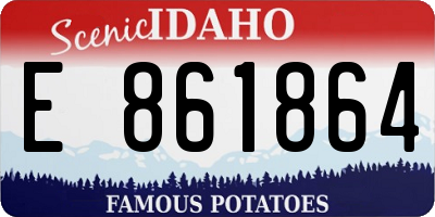 ID license plate E861864