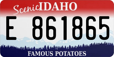 ID license plate E861865