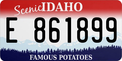 ID license plate E861899