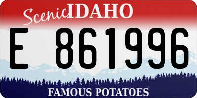 ID license plate E861996
