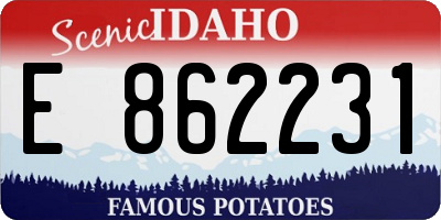 ID license plate E862231