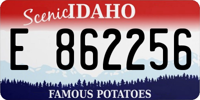 ID license plate E862256
